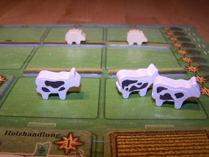 Arler Erde - schwarzbunte Kühe