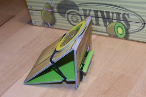 Flying Kiwis - Rampenkonstruktion