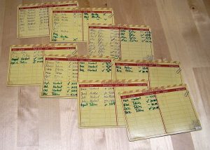 Pandemic Legacy Season 1 - Charaktere