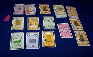 Cat Lady - Übersicht