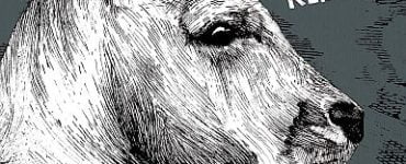 Die Känguru-Apokryphen - Cover