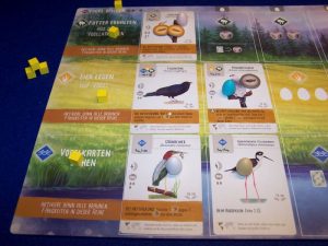 Flügelschlag - Spielszene
