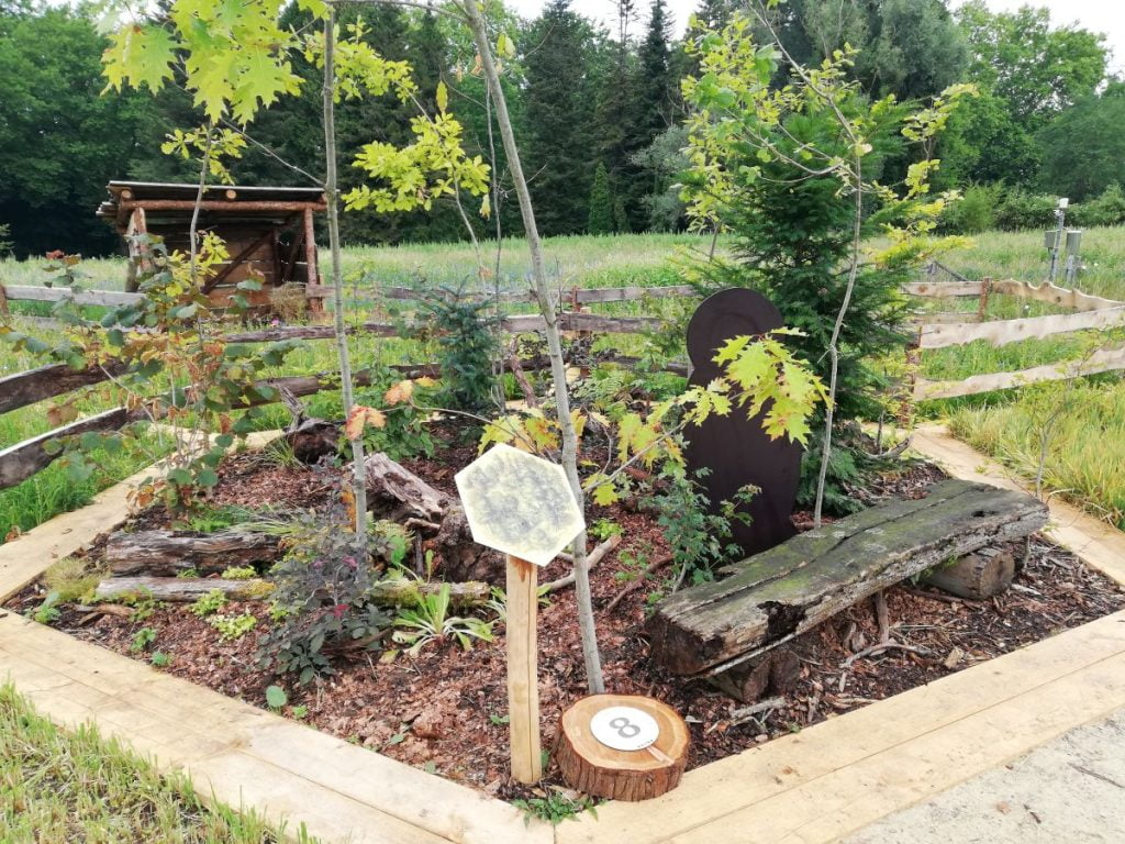 Catan Mainau 2020 - Holz