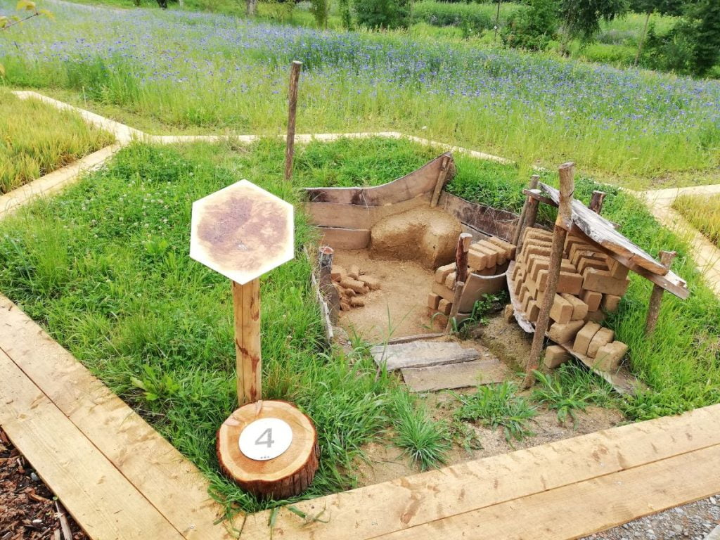 Catan Mainau 2020 - Lehm