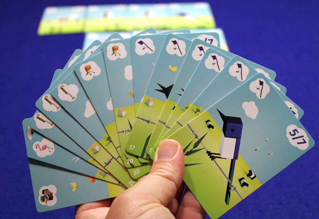 CuBirds - Hand