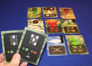 Terra Futura - Abwägung