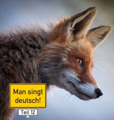Man singt deutsch 12 - Beitrag
