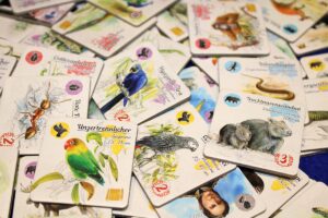 Auf den Wegen von Darwin - Plättchen