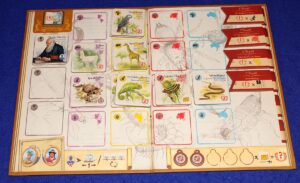 Auf den Wegen von Darwin - Tableau