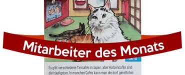 Mitarbeiter des Monats - Katzencafe