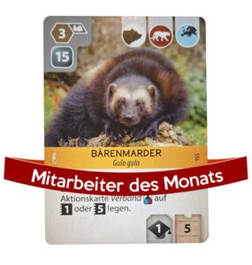Mitarbeiter des Monats - Bärenmarder