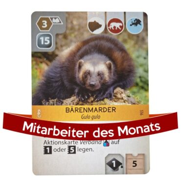 Mitarbeiter des Monats - Bärenmarder